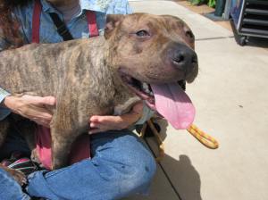 Sung min and Sierra 023